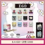 B.A IGD12000口 電子煙